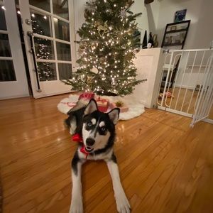 Meet your Posher, Sara